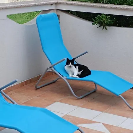 Apartament Kunteja *